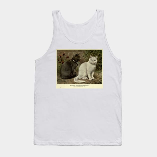 Vintage Grey & White Short-Haired Cat Painting (1902) Tank Top by Bravuramedia